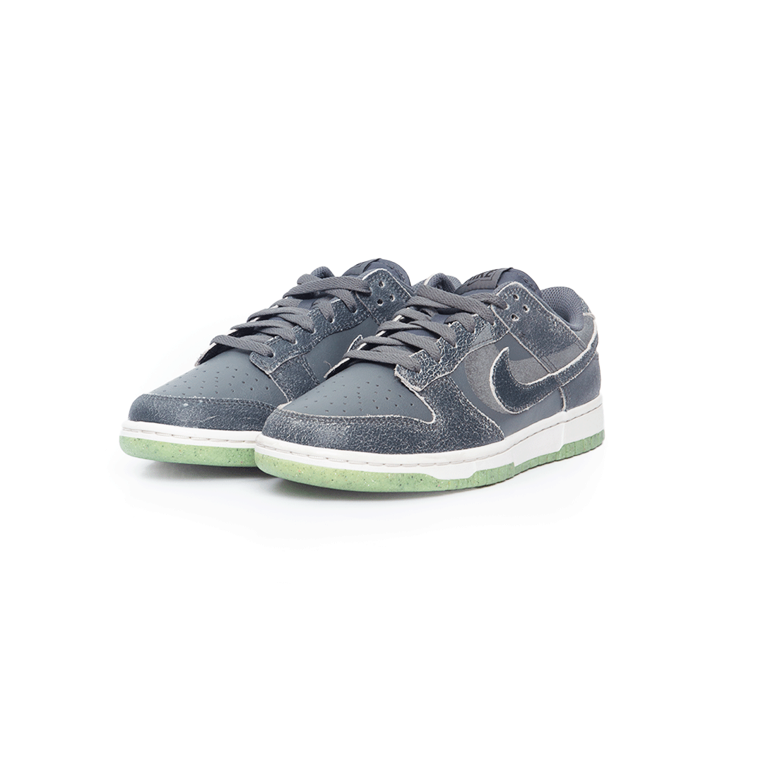 NIKE DUNK LOW RETRO PRM DQ7681-001