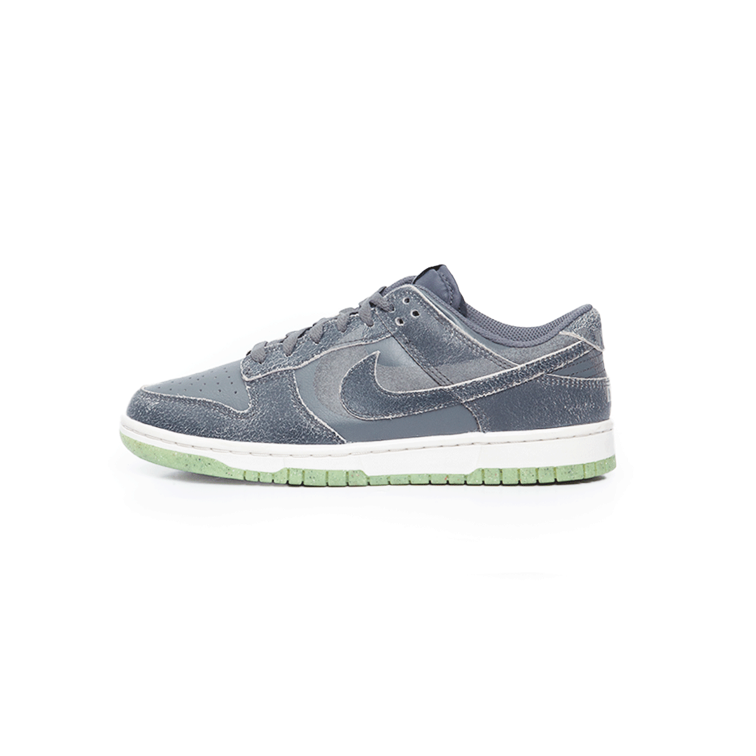 NIKE DUNK LOW RETRO PRM DQ7681-001