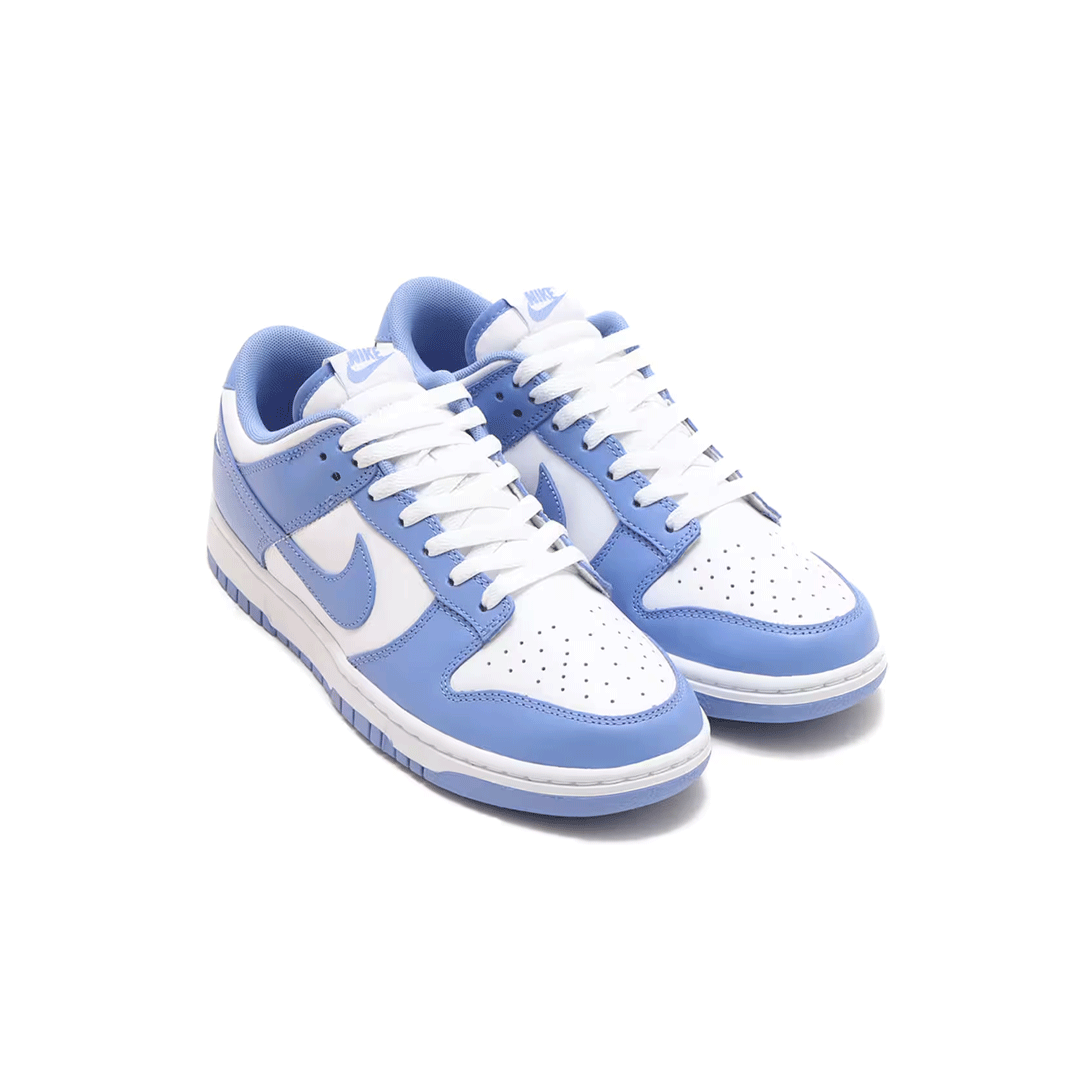 NIKE DUNK LOW RETRO DV0833-400 POLAR/WHITE