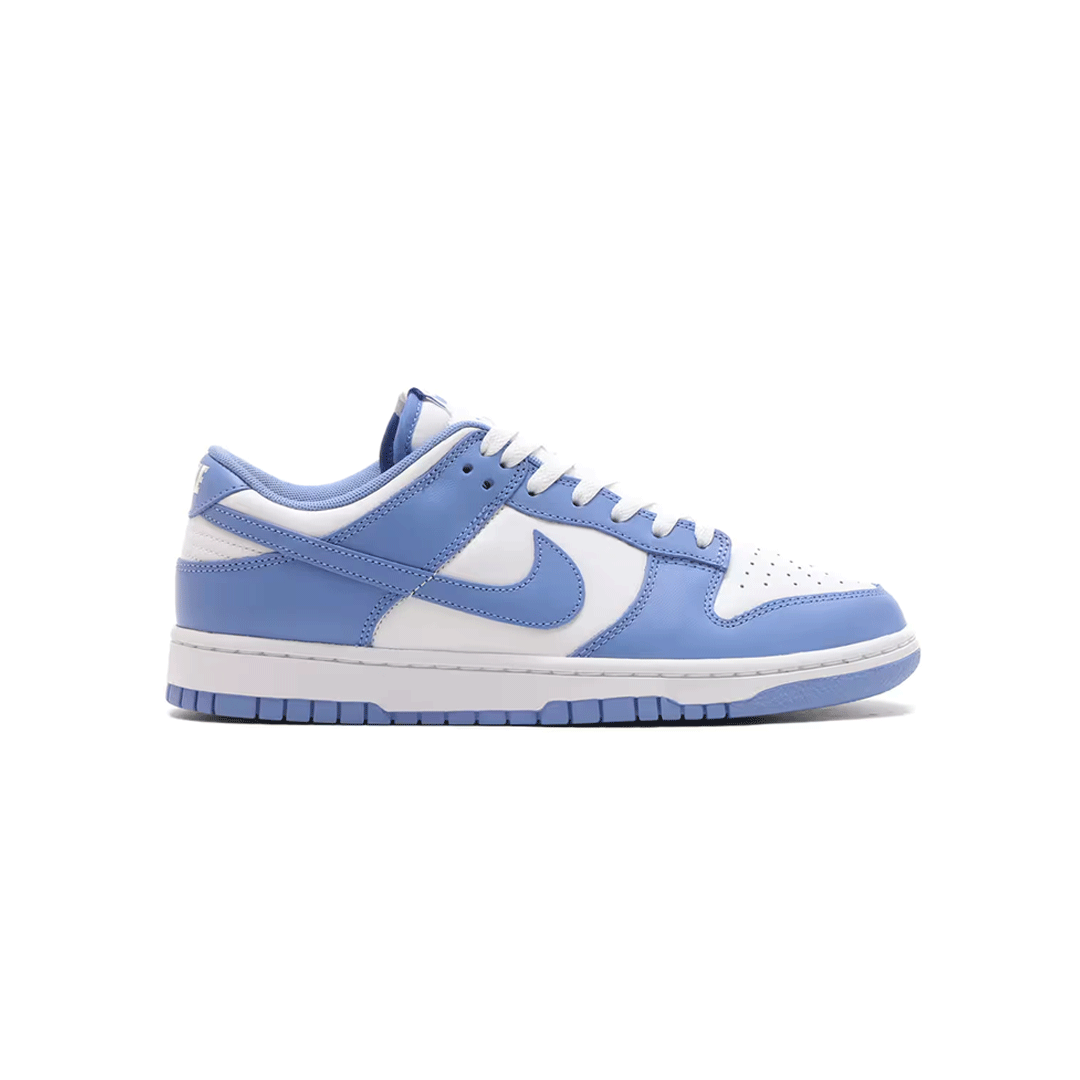 NIKE DUNK LOW RETRO DV0833-400 POLAR/WHITE