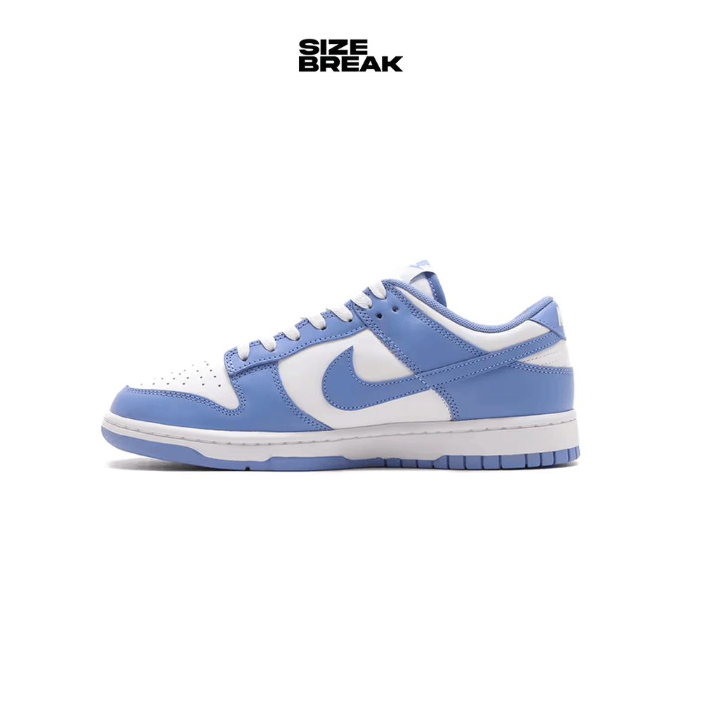 NIKE DUNK LOW RETRO DV0833-400 POLAR/WHITE