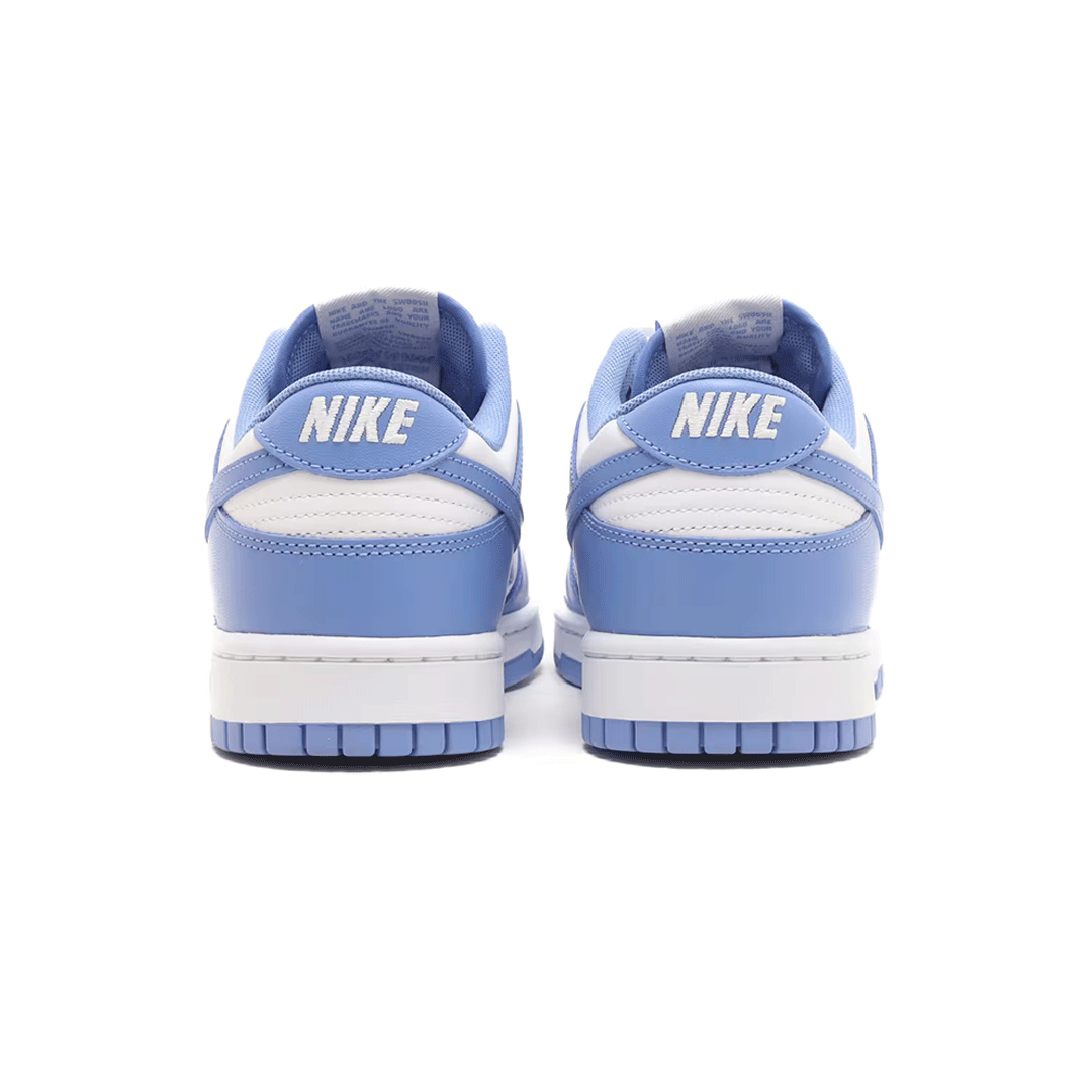 NIKE DUNK LOW RETRO DV0833-400 POLAR/WHITE