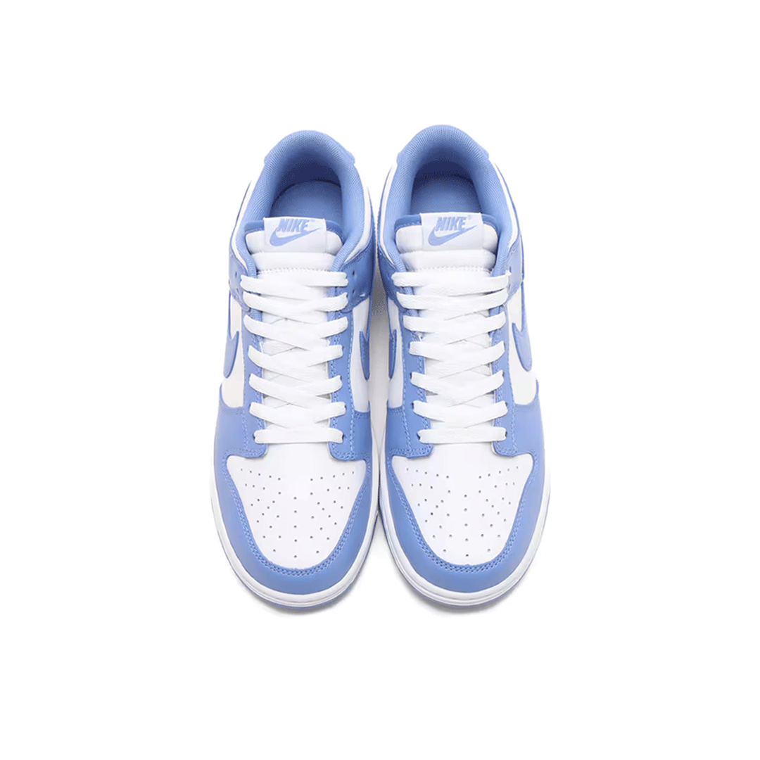 NIKE DUNK LOW RETRO DV0833-400 POLAR/WHITE